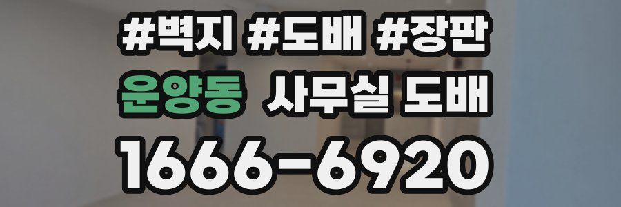 운양동 사무실 도배