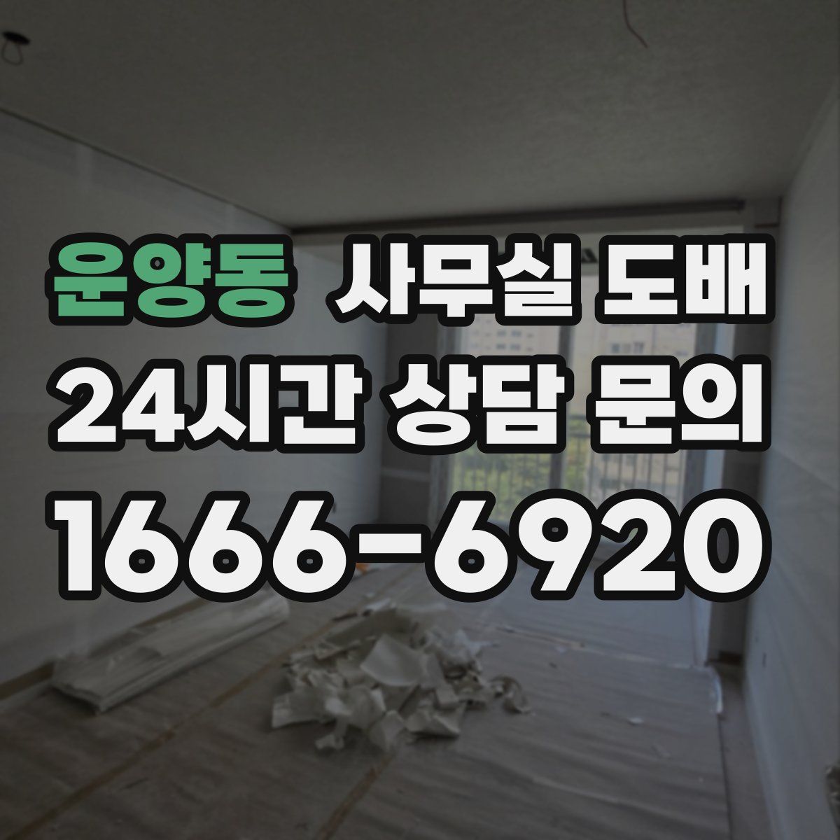 운양동 사무실 도배
