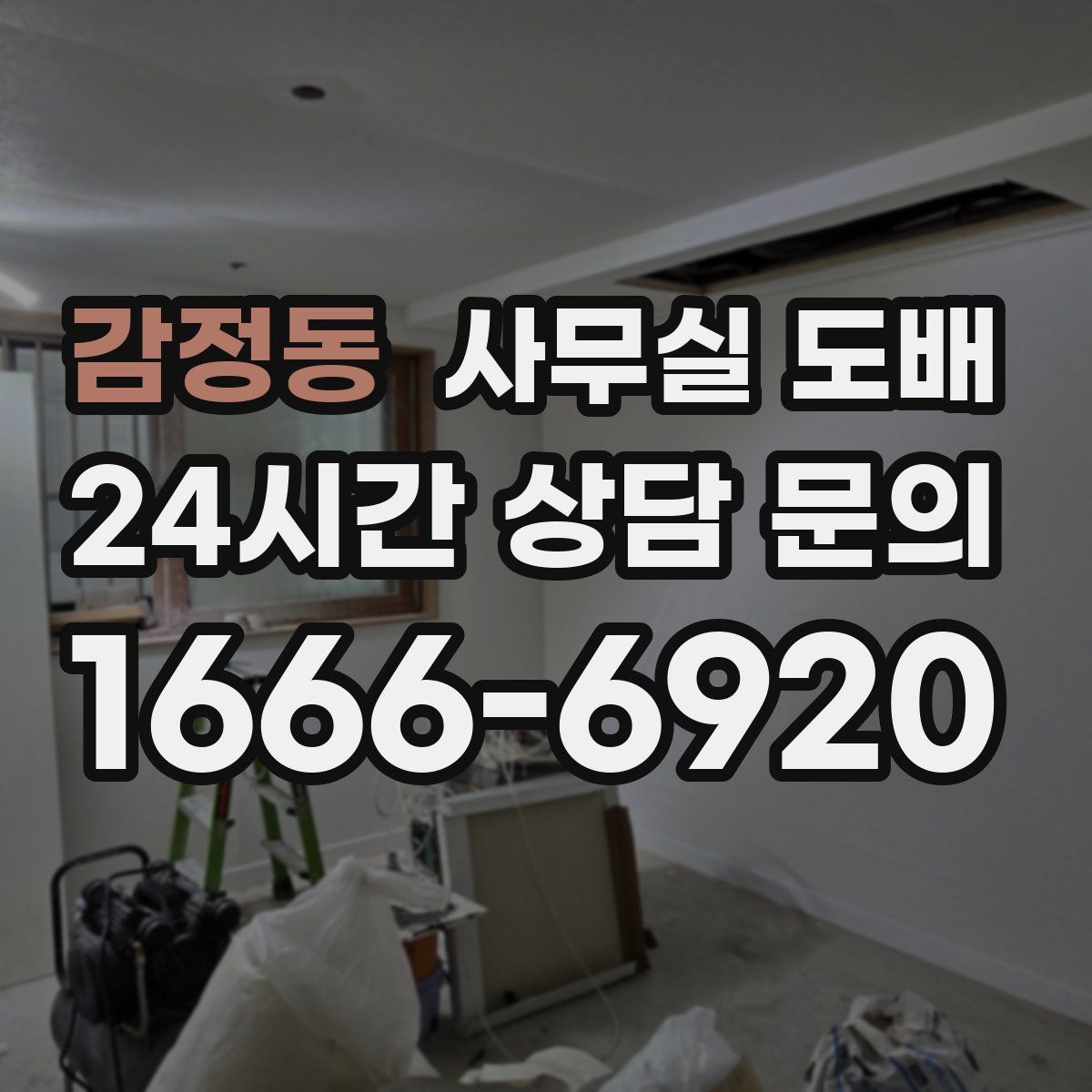 감정동 사무실 도배
