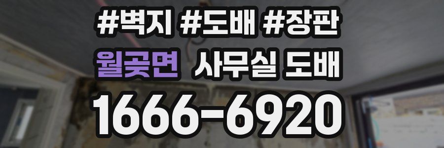 월곶면 사무실 도배