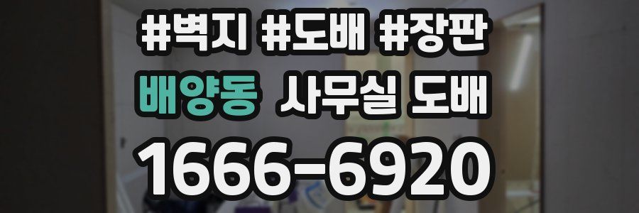 배양동 사무실 도배