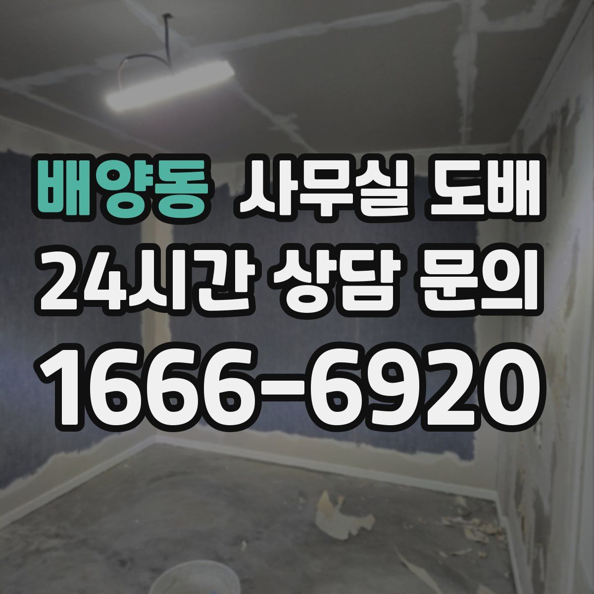 배양동 사무실 도배