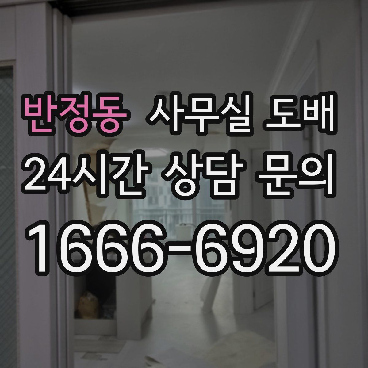 반정동 사무실 도배