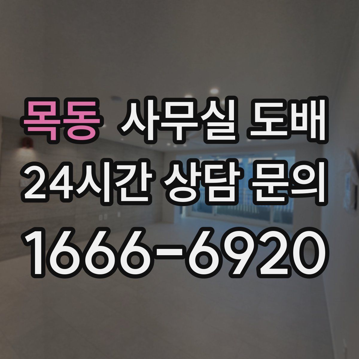목동 사무실 도배