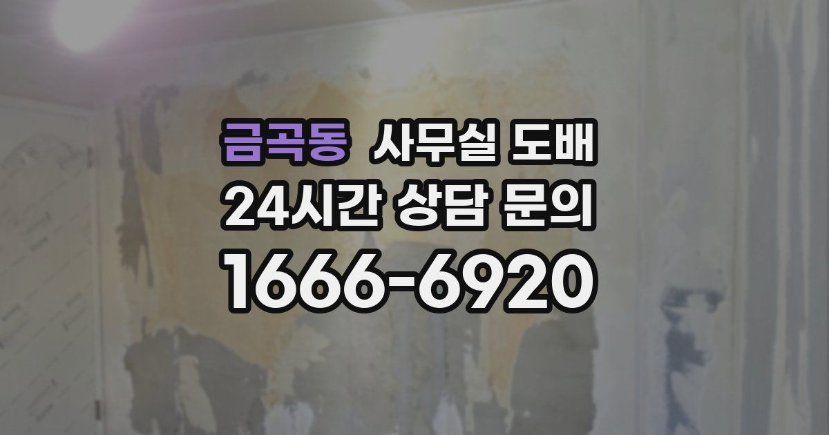 금곡동 사무실 도배