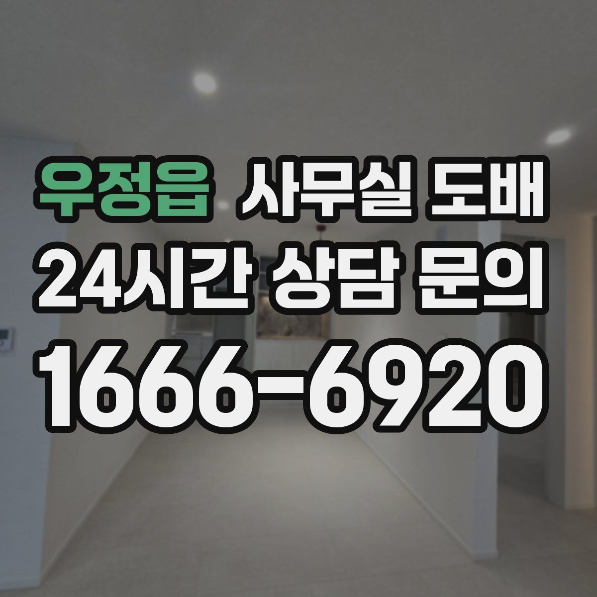 우정읍 사무실 도배
