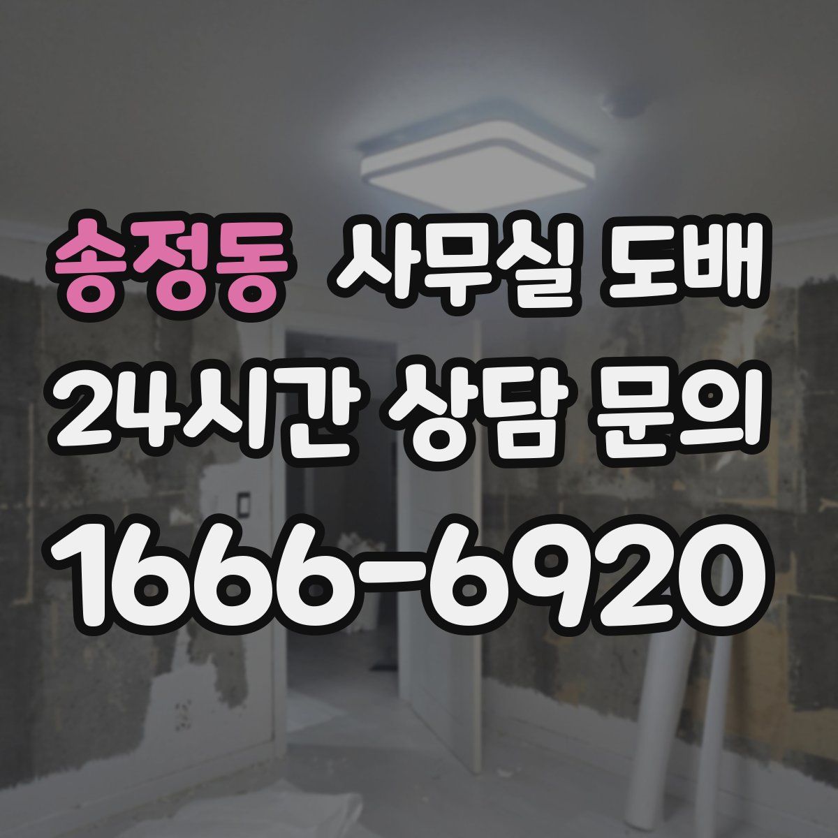 송정동 사무실 도배