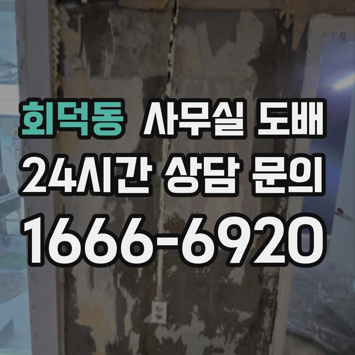회덕동 사무실 도배