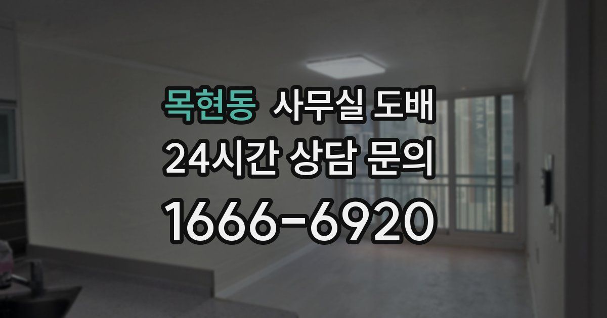 목현동 사무실 도배