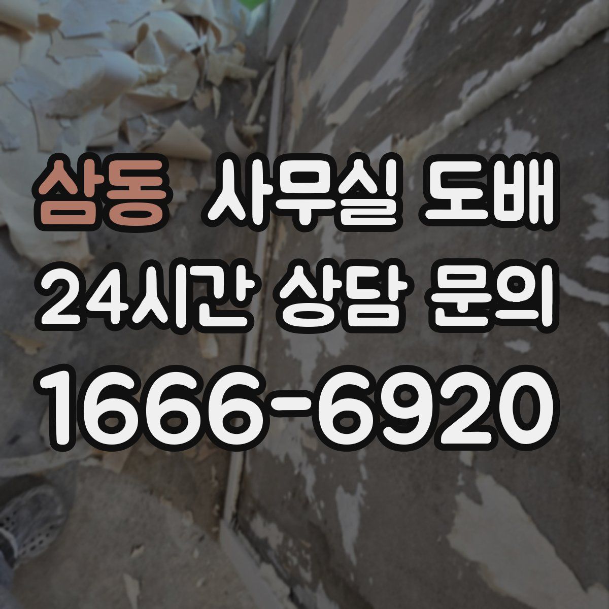삼동 사무실 도배