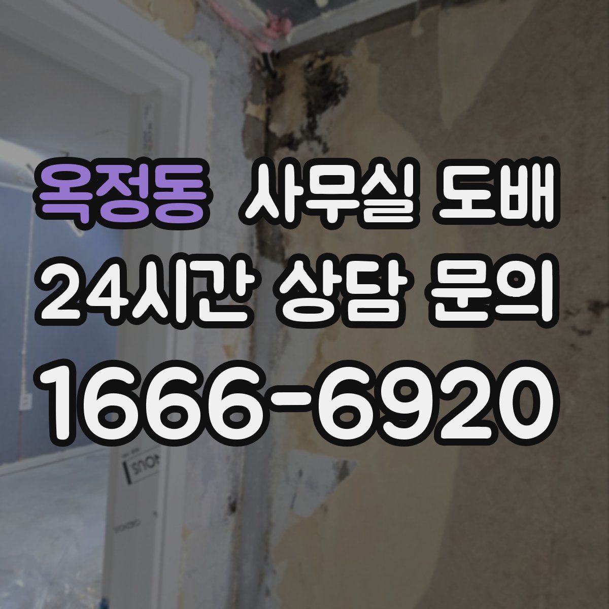 옥정동 사무실 도배