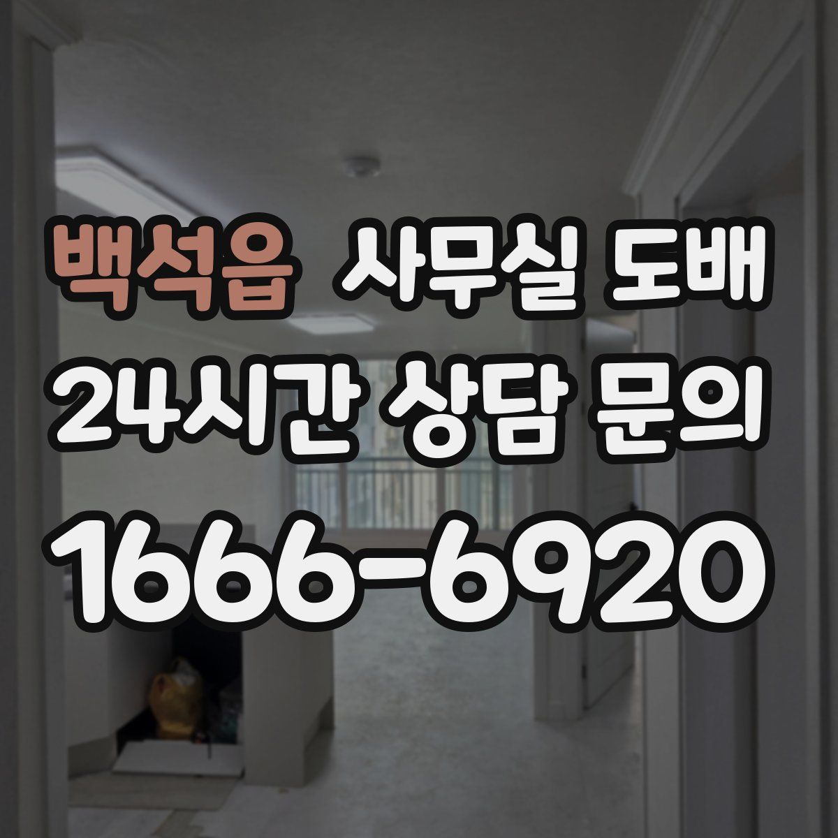 백석읍 사무실 도배