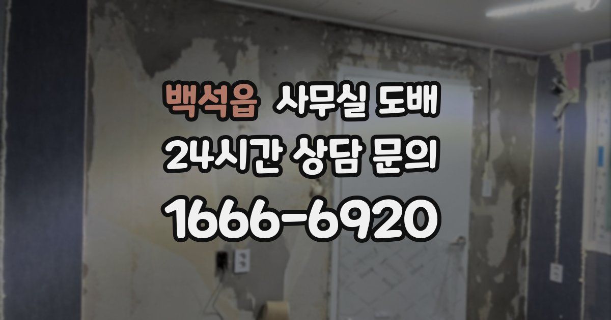 백석읍 사무실 도배