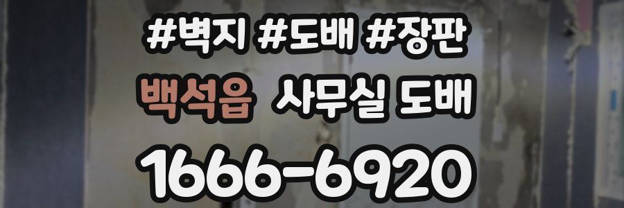 백석읍 사무실 도배
