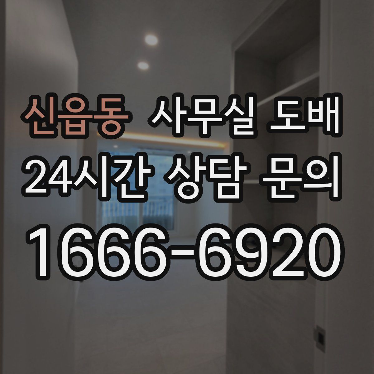 신읍동 사무실 도배