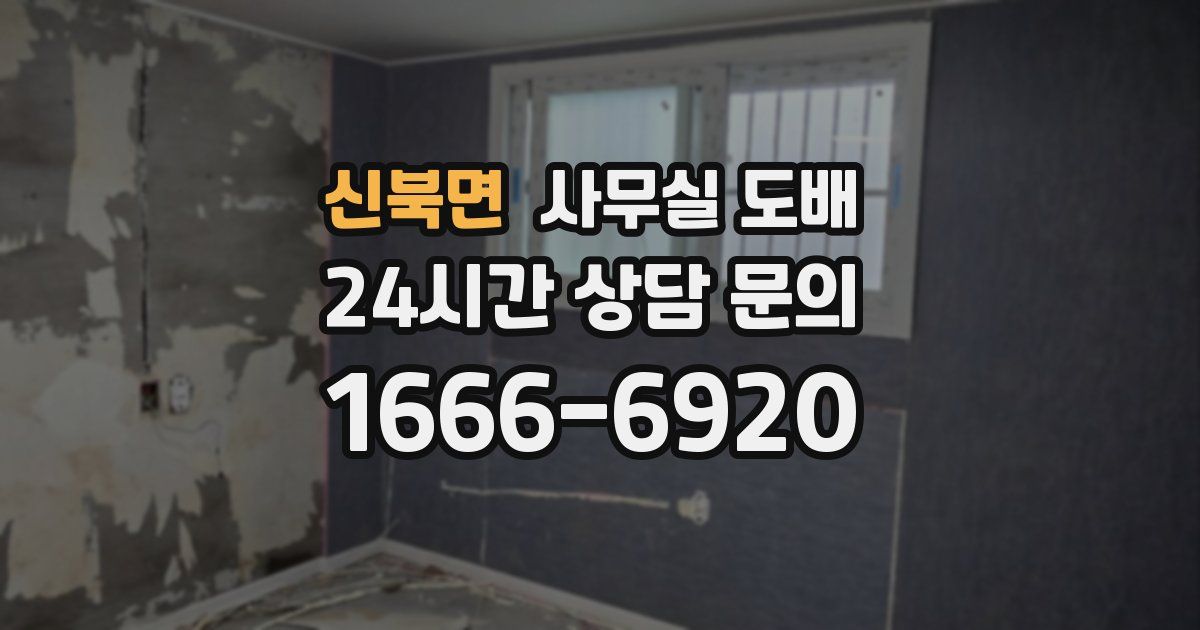 신북면 사무실 도배