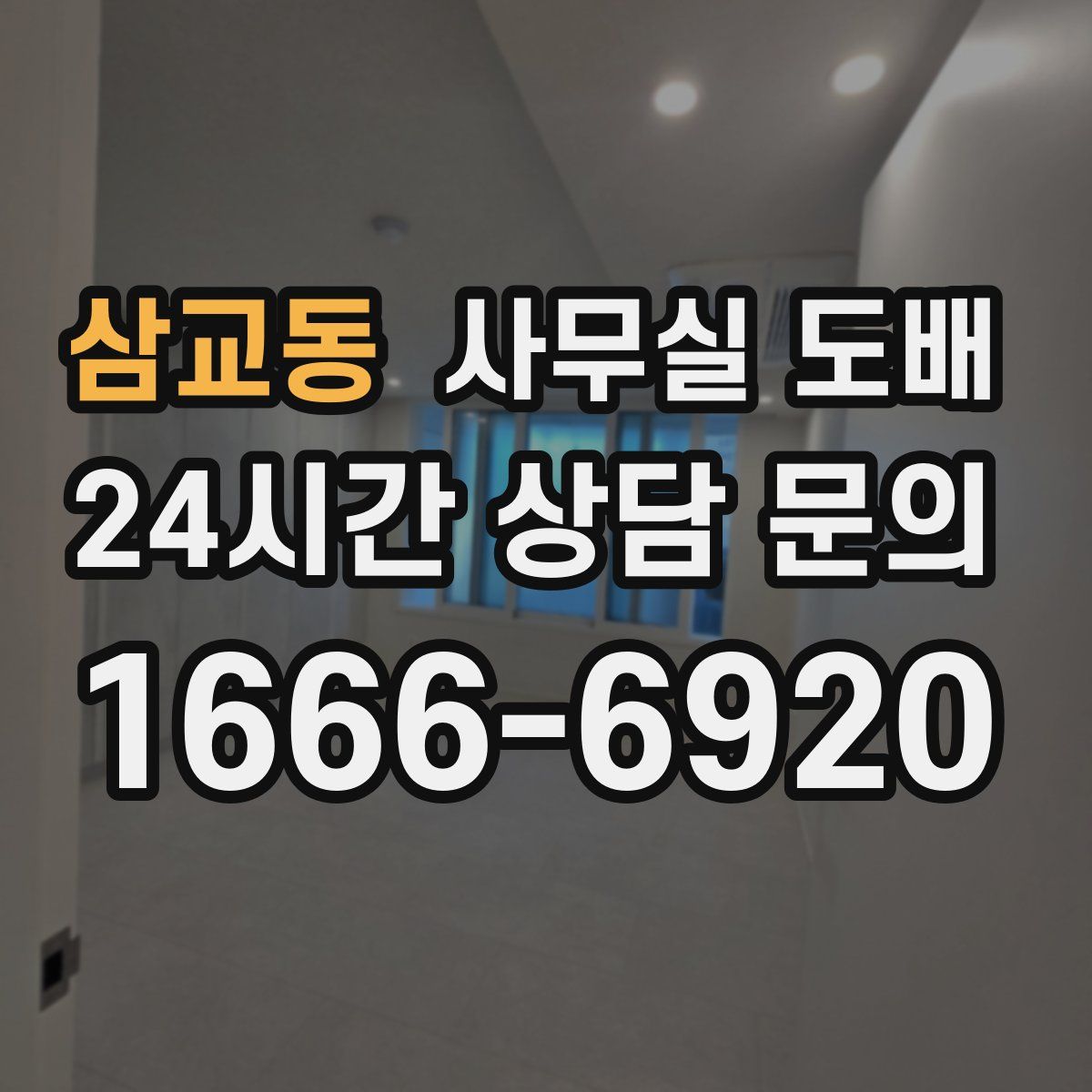 삼교동 사무실 도배