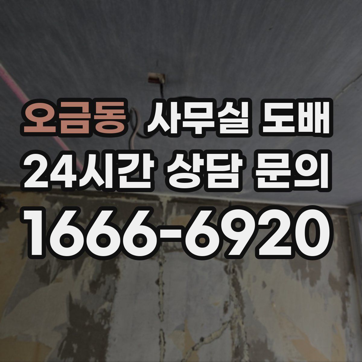 오금동 사무실 도배