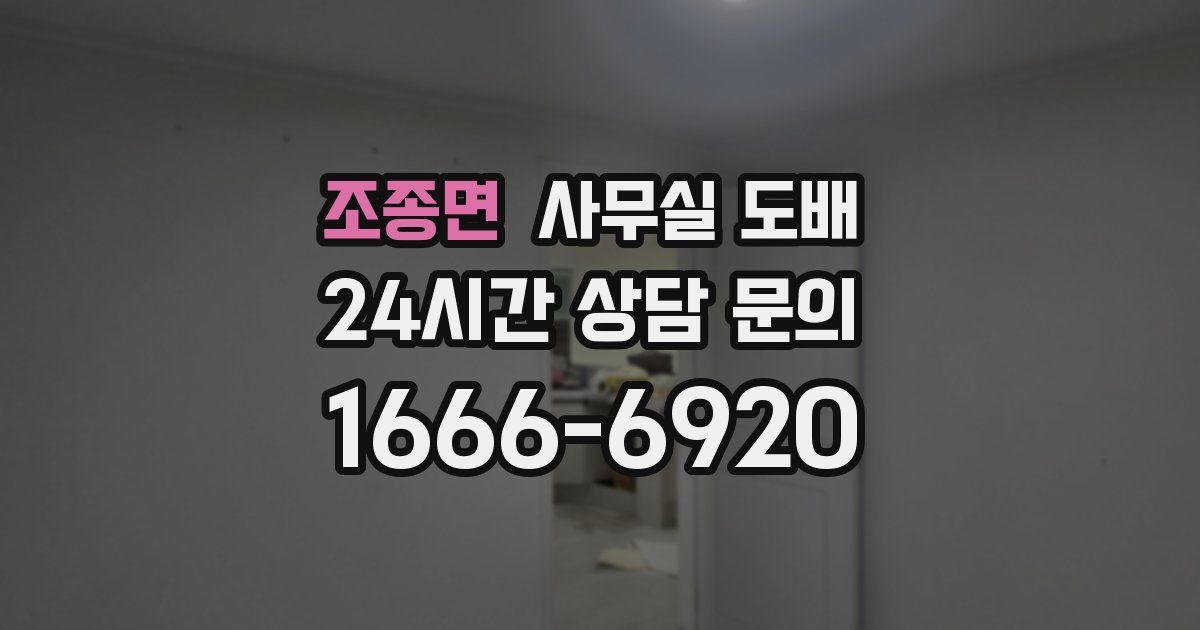 조종면 사무실 도배