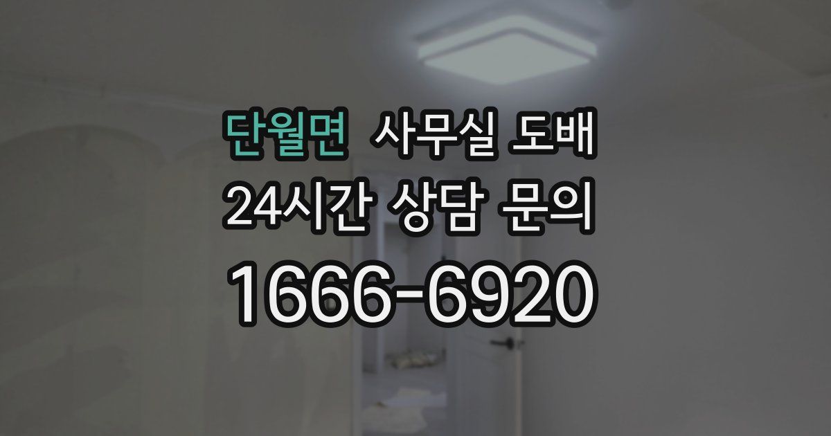 단월면 사무실 도배