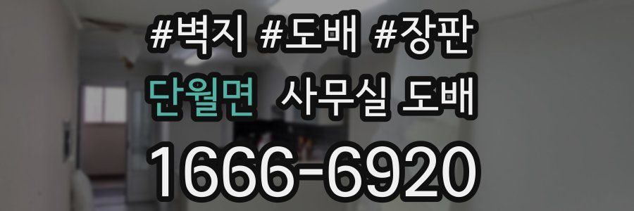 단월면 사무실 도배