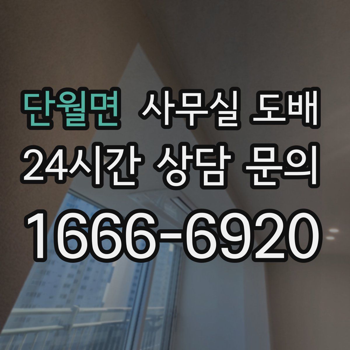 단월면 사무실 도배