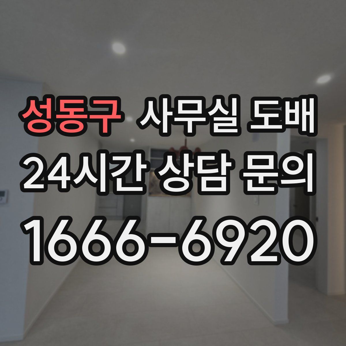 성동구 사무실 도배