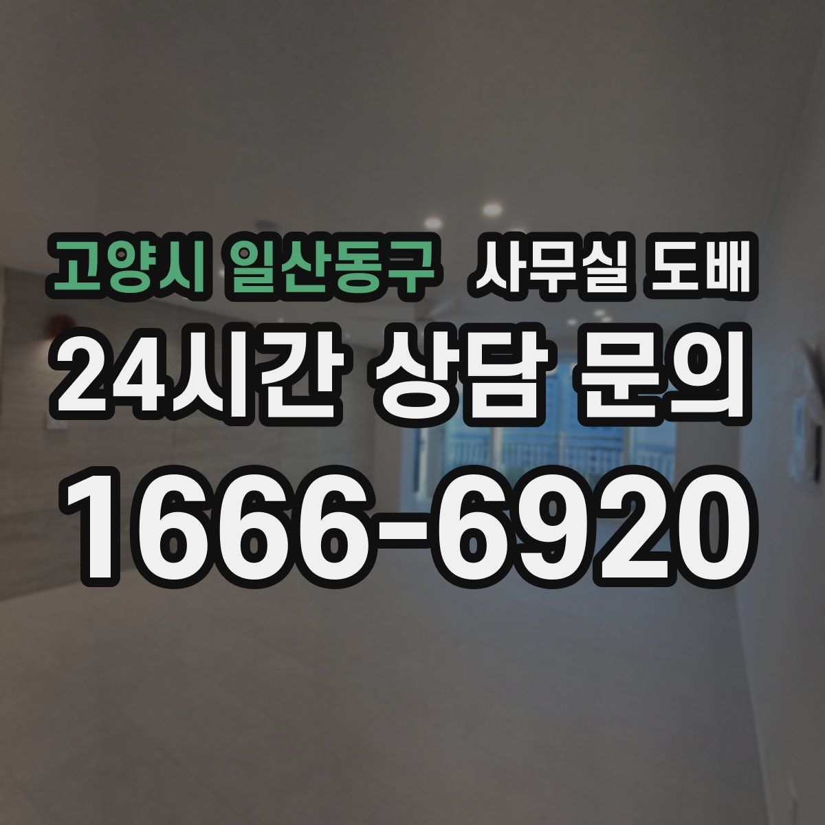 고양시 일산동구 사무실 도배