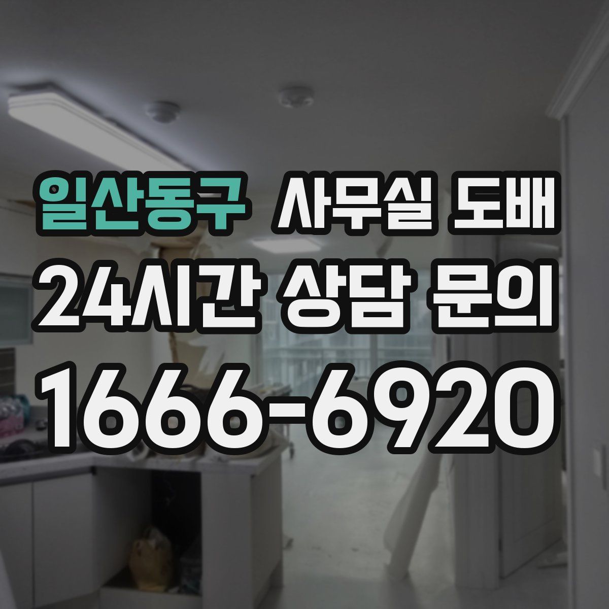 일산동구 사무실 도배