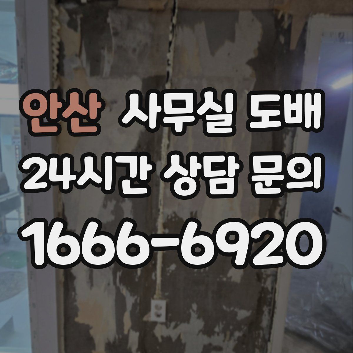 안산 사무실 도배