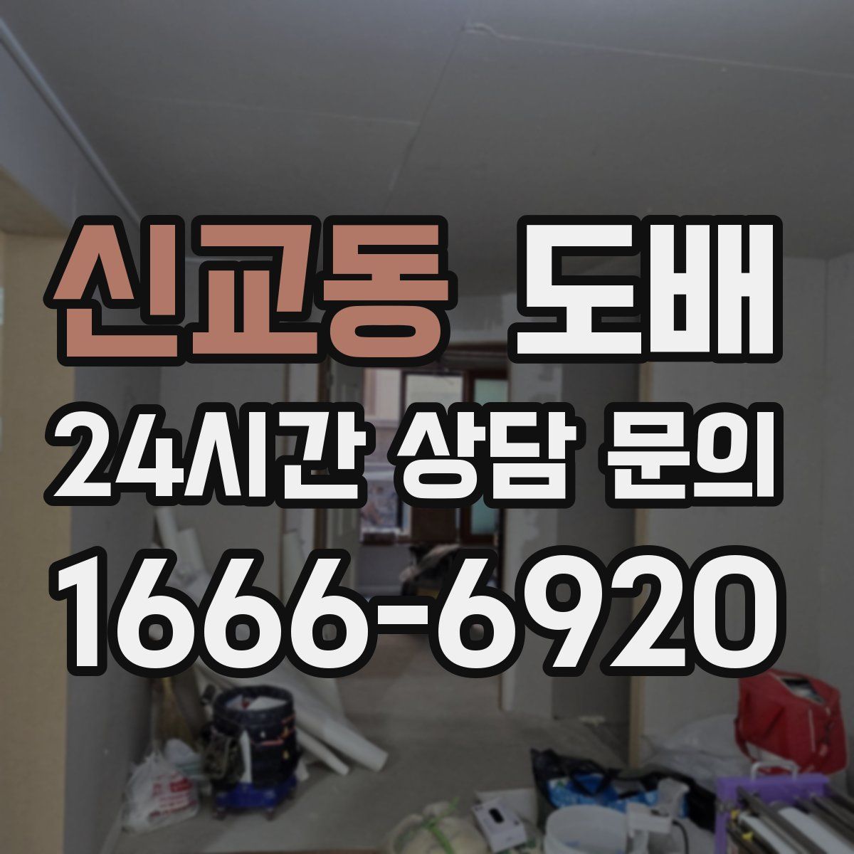 신교동 도배