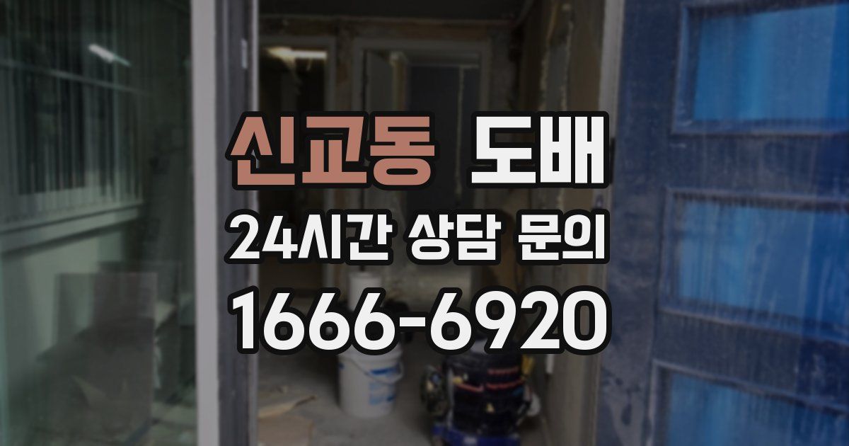신교동 도배
