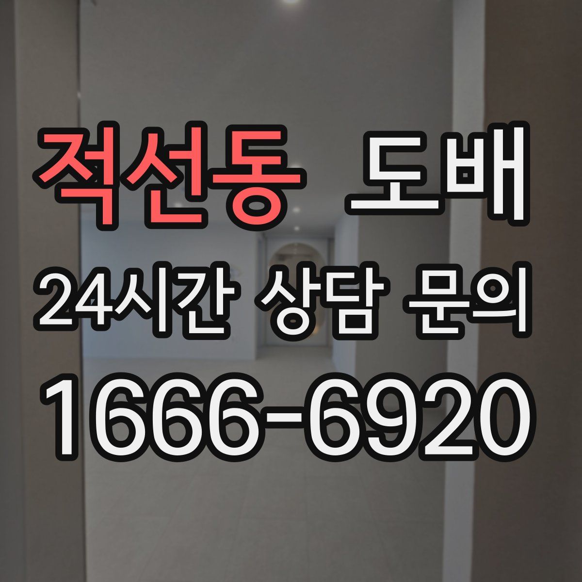 적선동 도배