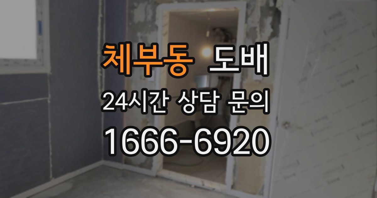 체부동 도배