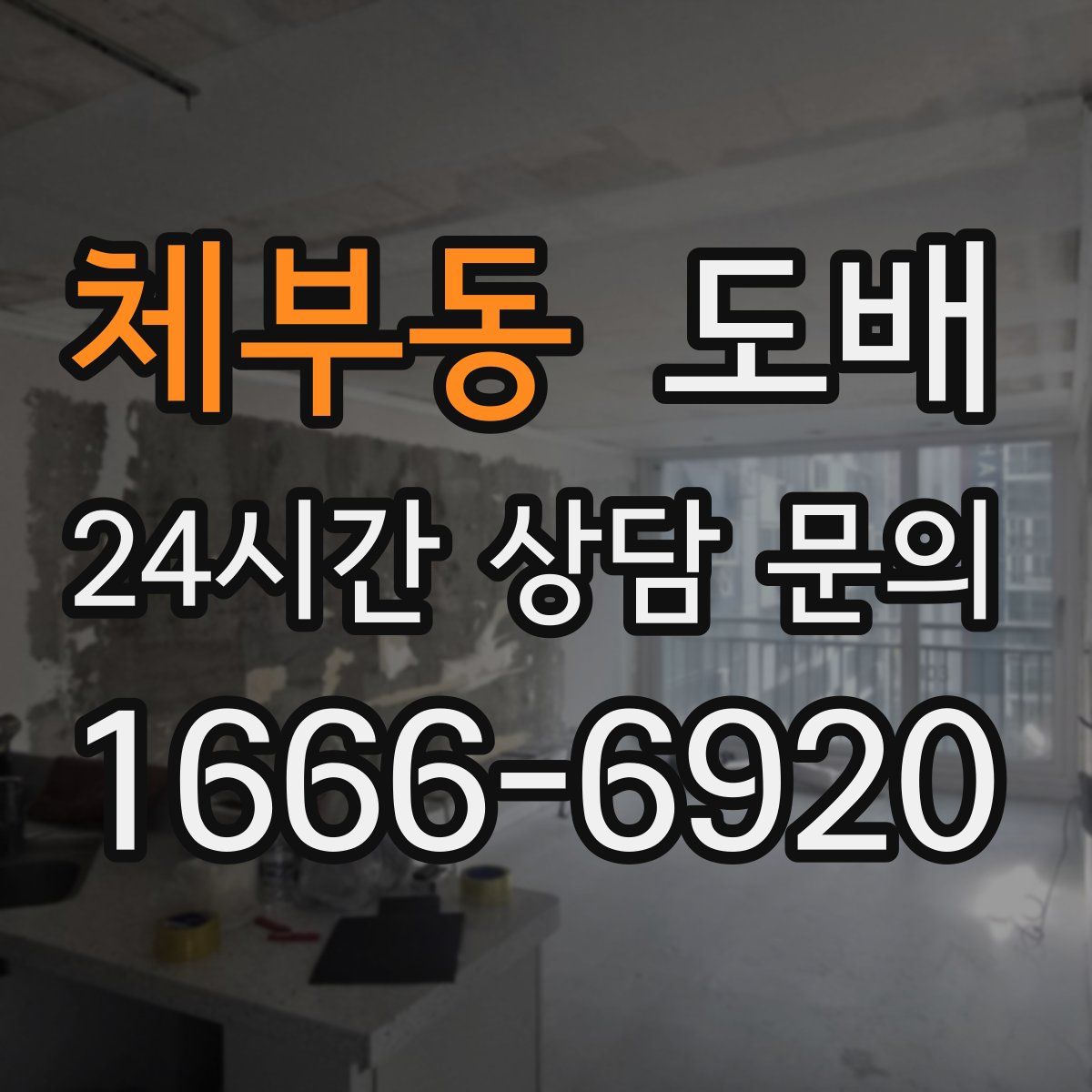 체부동 도배