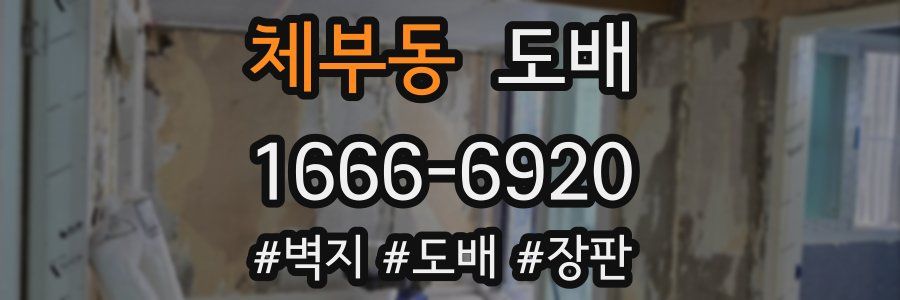 체부동 도배