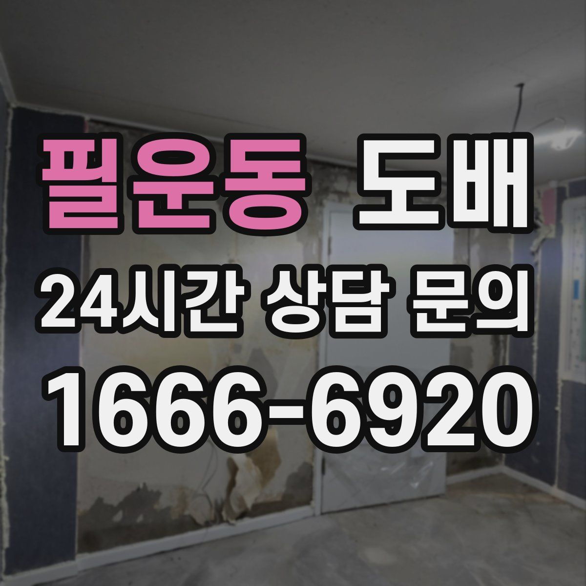 필운동 도배