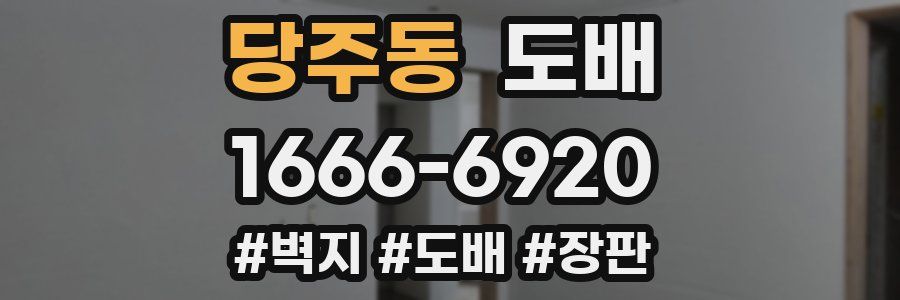 당주동 도배