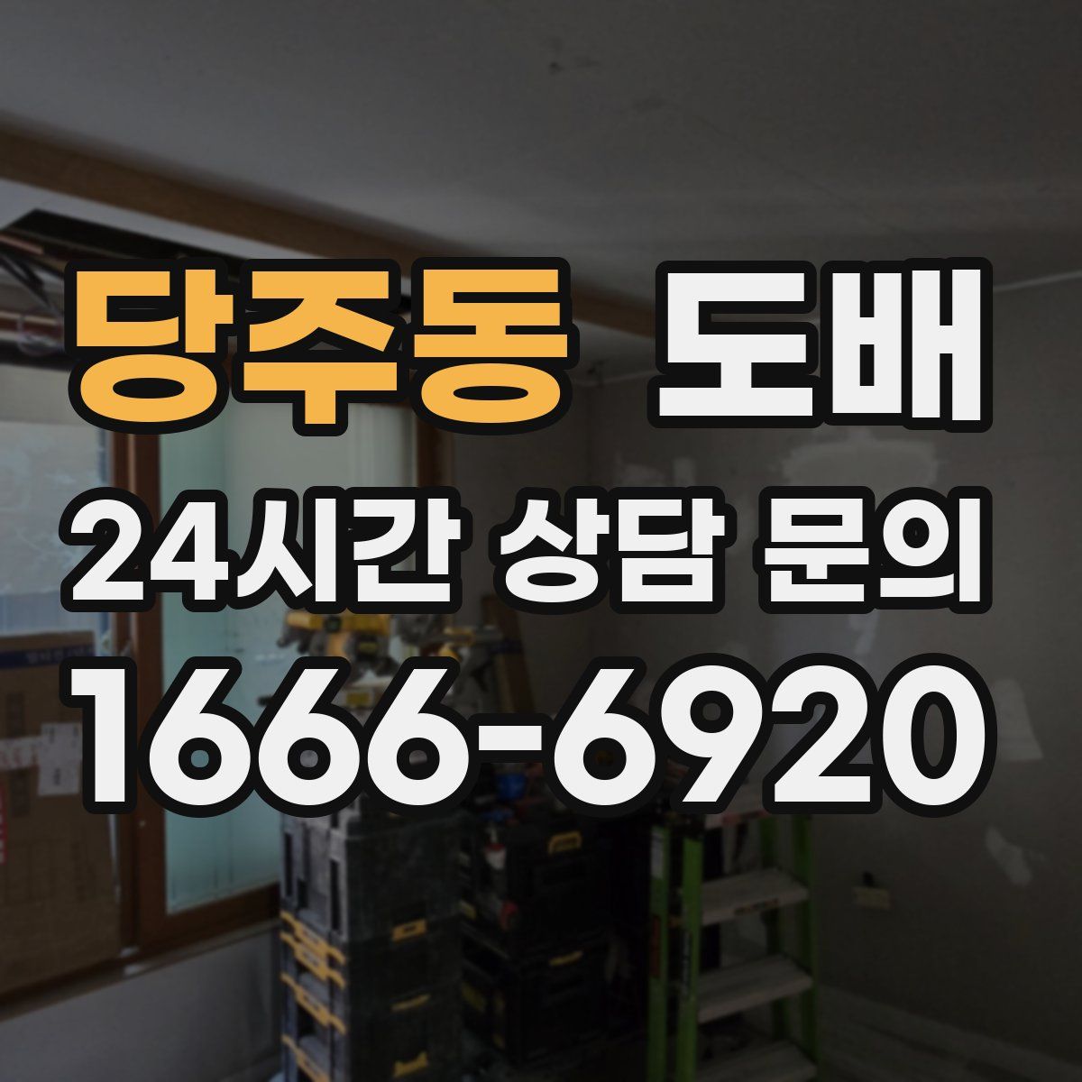 당주동 도배