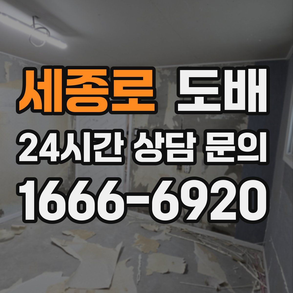 세종로 도배