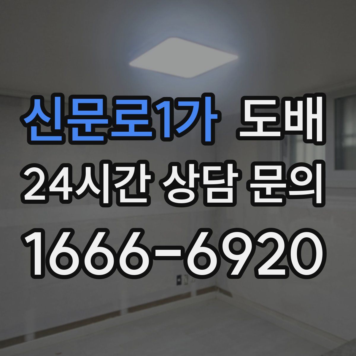 신문로1가 도배