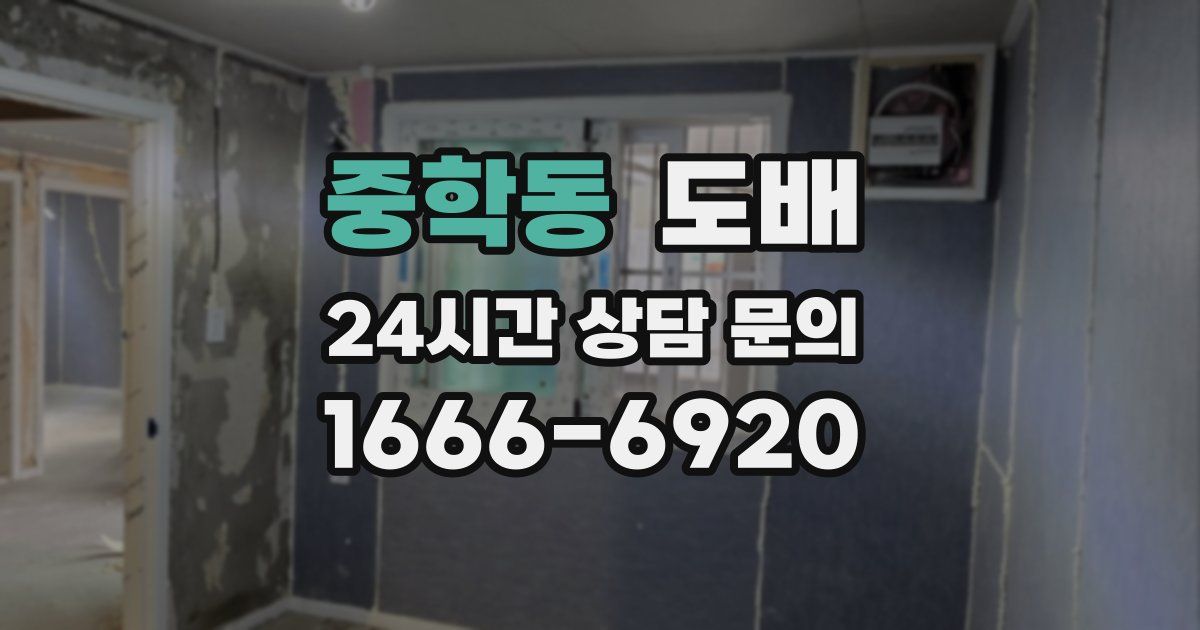 중학동 도배