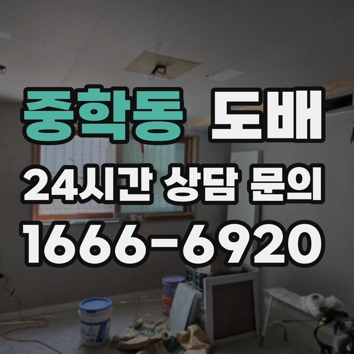 중학동 도배