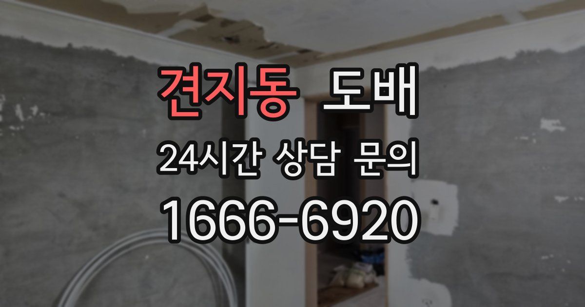 견지동 도배