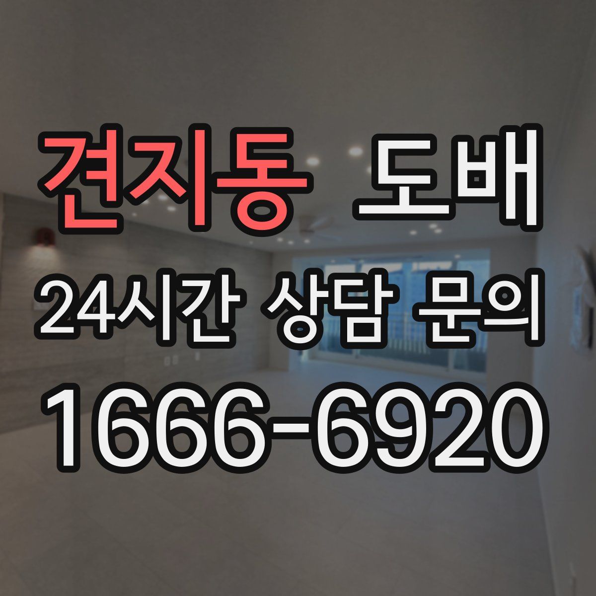 견지동 도배