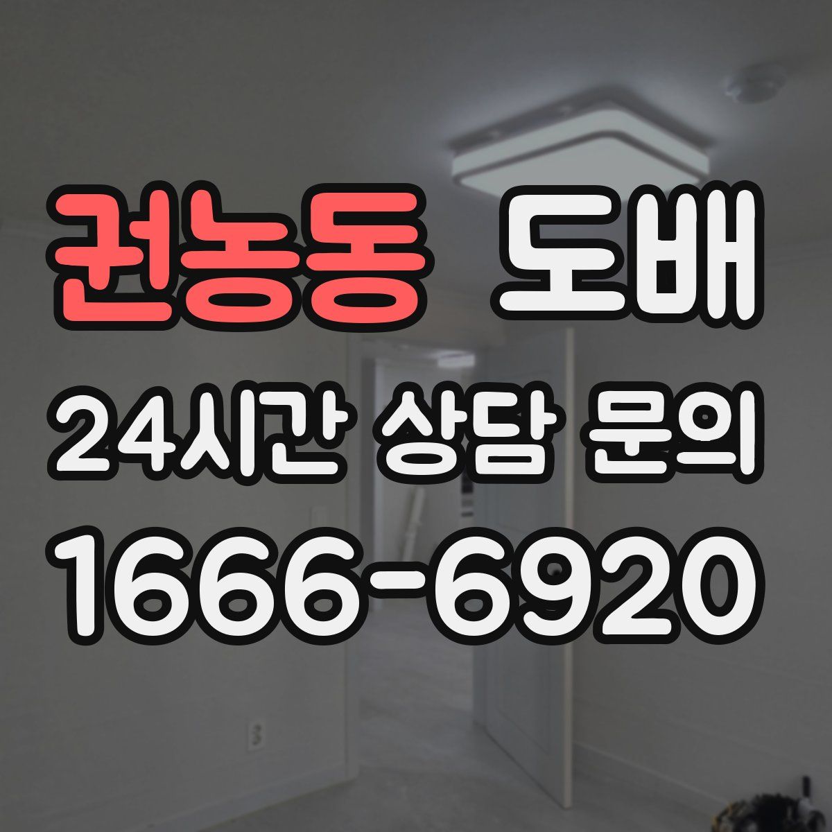 권농동 도배
