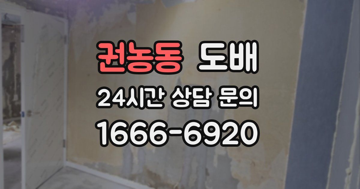 권농동 도배