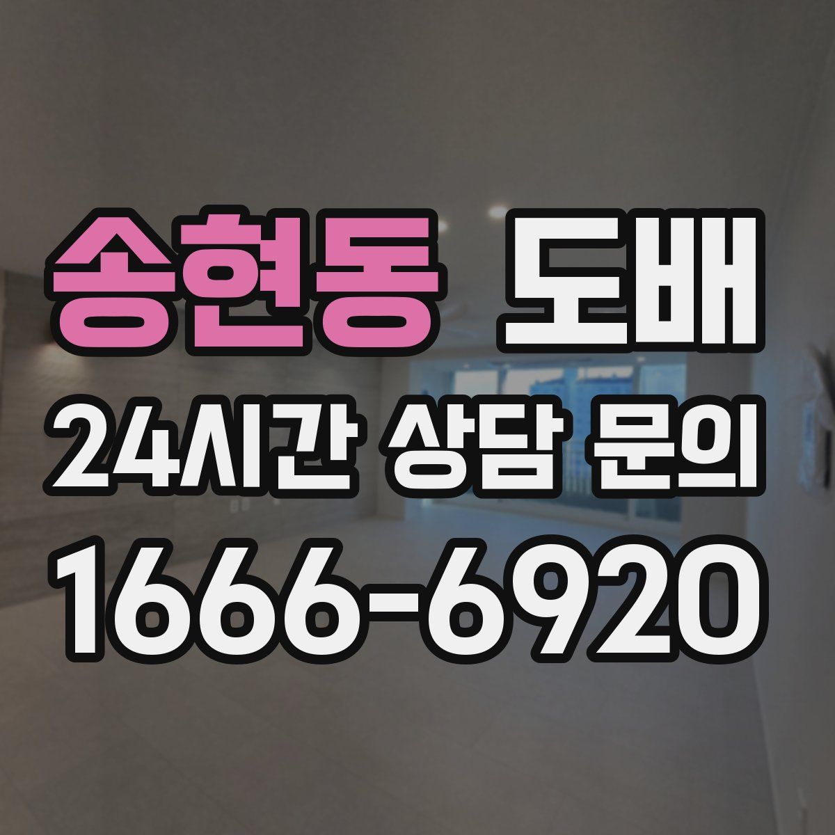 송현동 도배