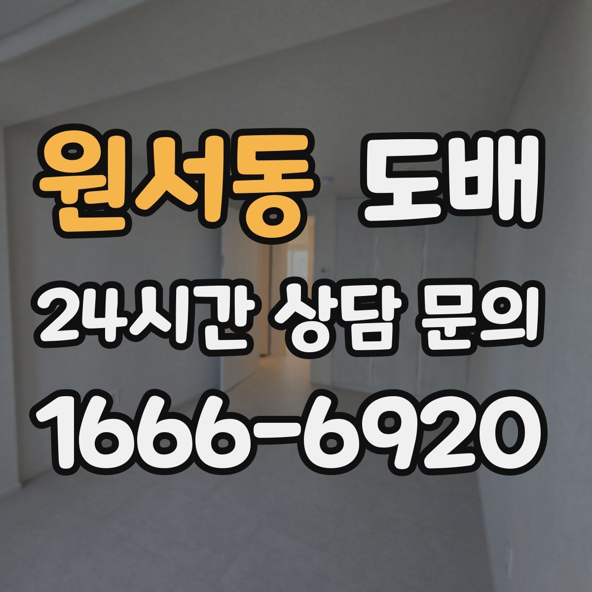 원서동 도배