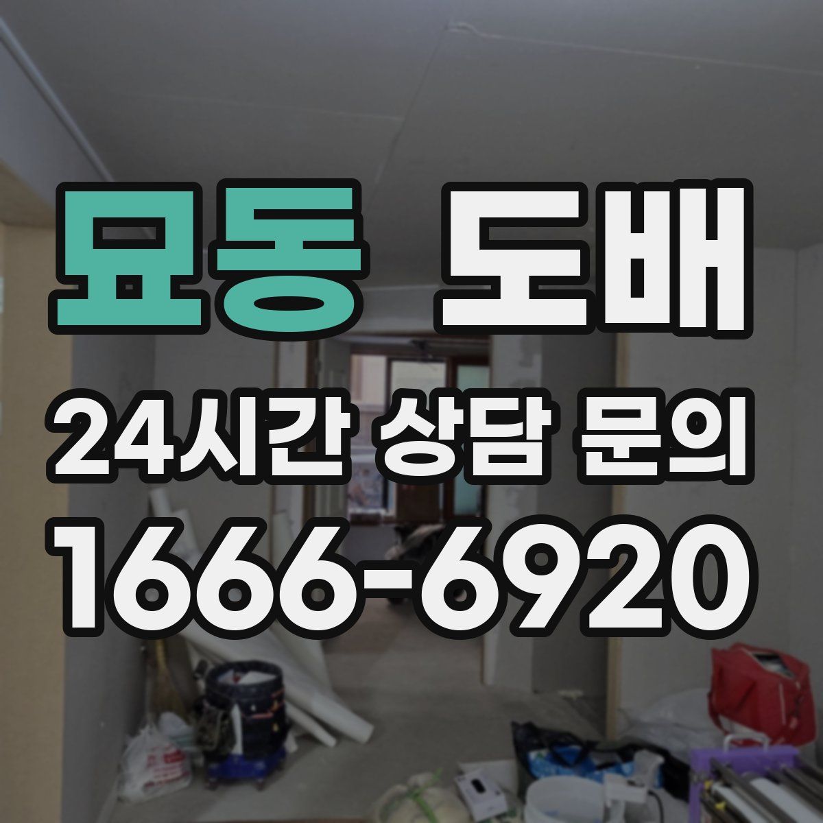 묘동 도배